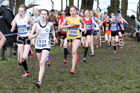 Girls under-15s 2019 British Athletics Inter Counties Cross Country, Prestwood Hall, Loughborough. Photo:  David T. Hewitson/Sports for All Pics